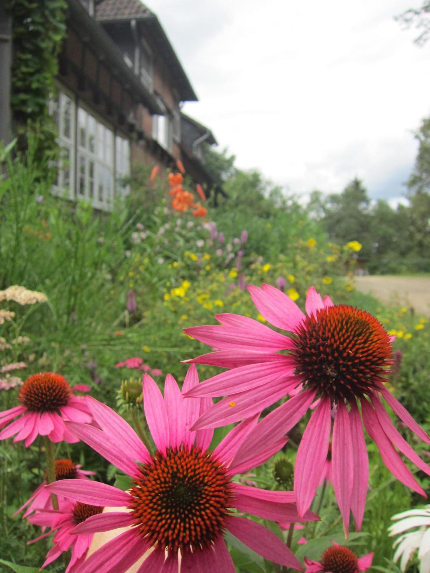 Haus Heidetal Bed & Breakfast Bispingen Exterior photo
