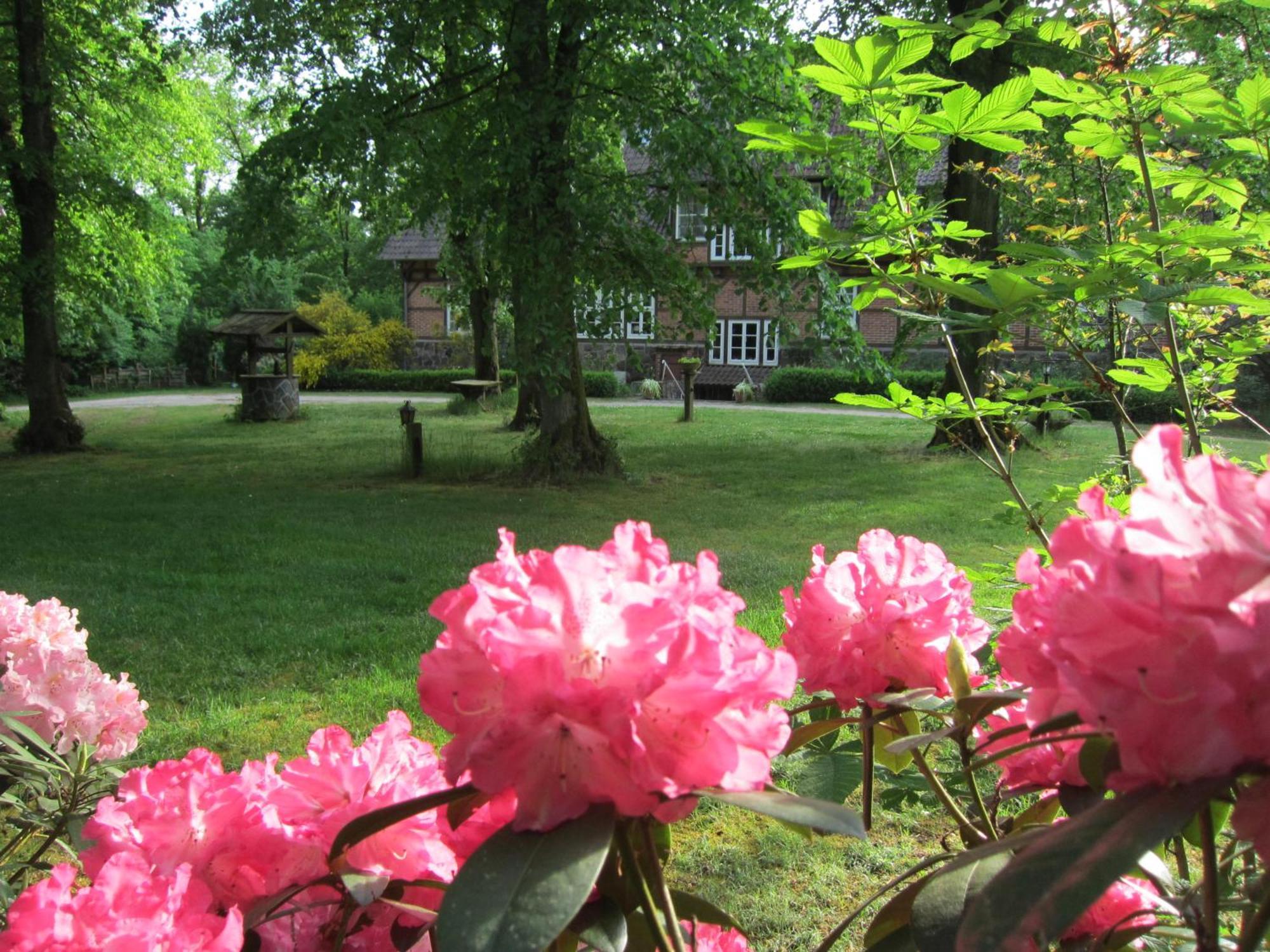 Haus Heidetal Bed & Breakfast Bispingen Exterior photo
