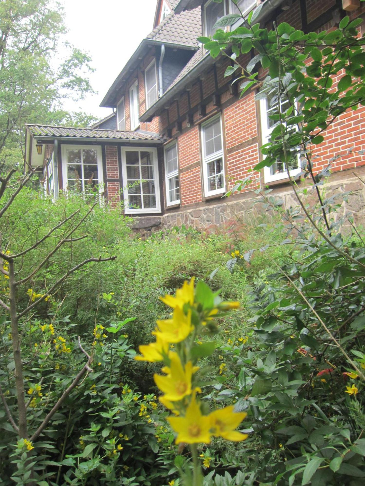 Haus Heidetal Bed & Breakfast Bispingen Exterior photo